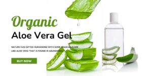 Nature has gifted humankind with some magical elixir like Aloe Vera that is found in abundance.