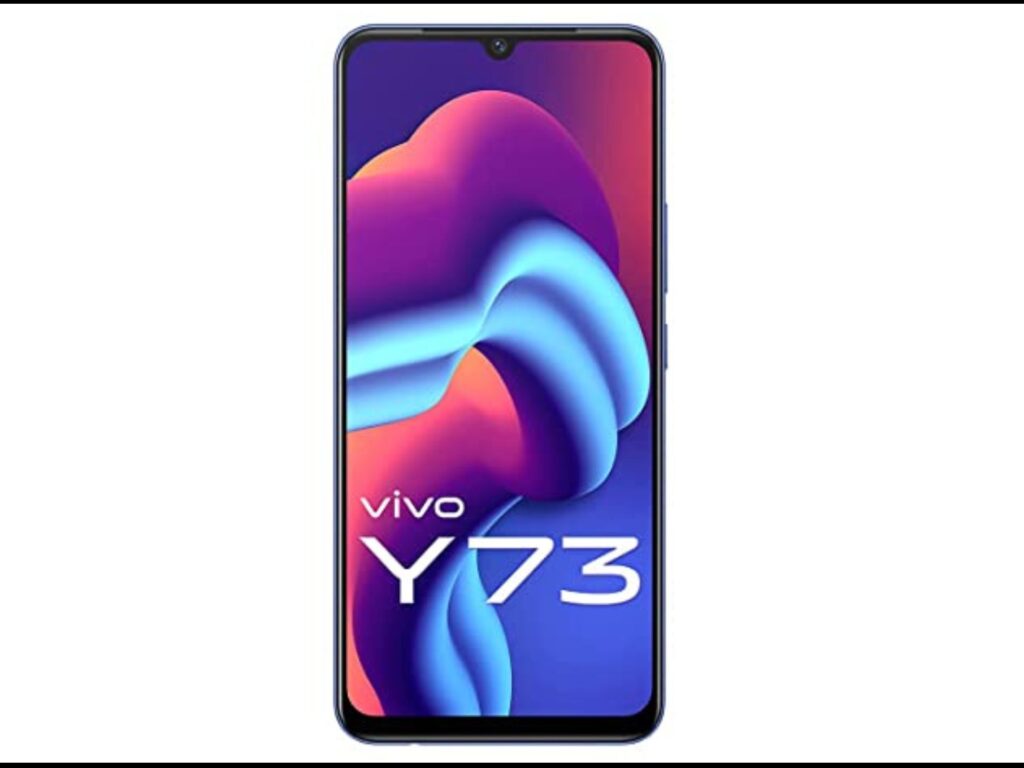 Vivo Y73 Review